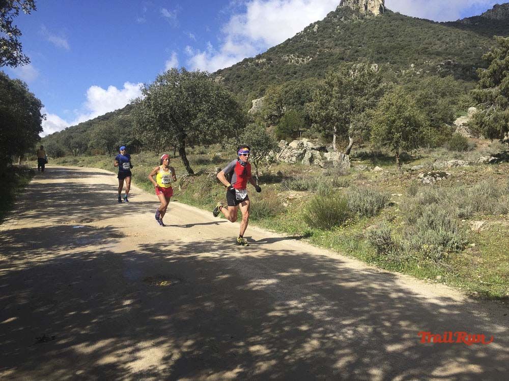 Races Trail Runing Hoyo de Manzanares 2016-11