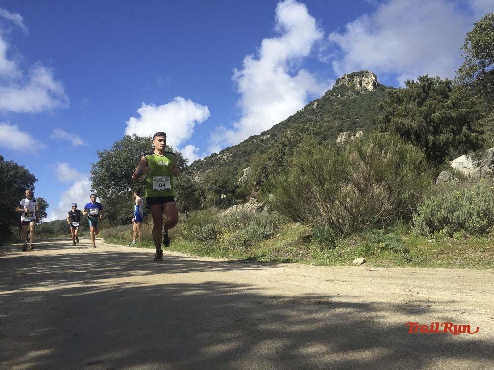 Races Trail Runing Hoyo de Manzanares 2016-11