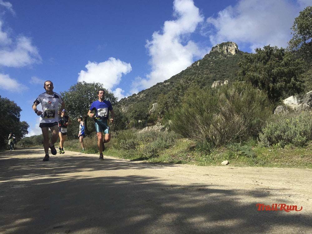 Races Trail Runing Hoyo de Manzanares 2016-11