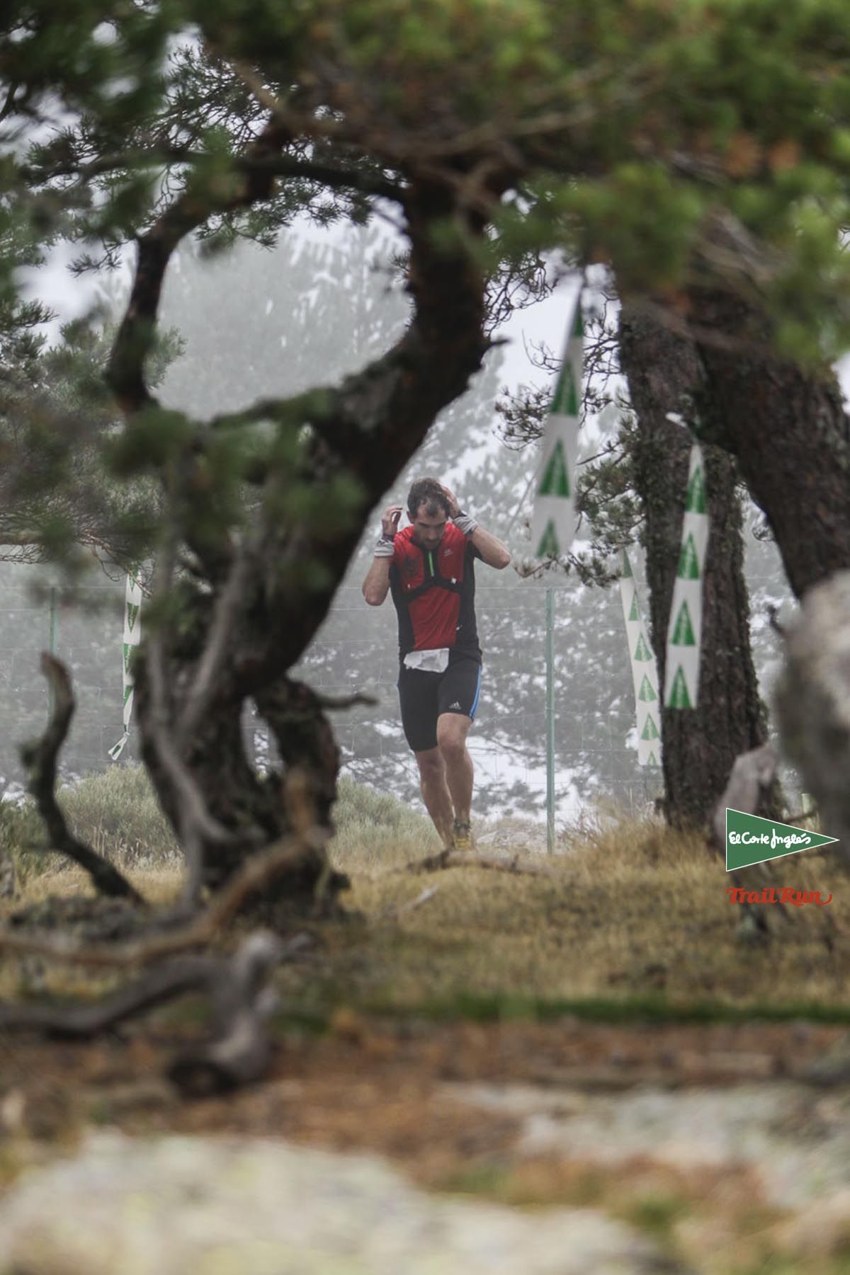 Races Trail Running-2
