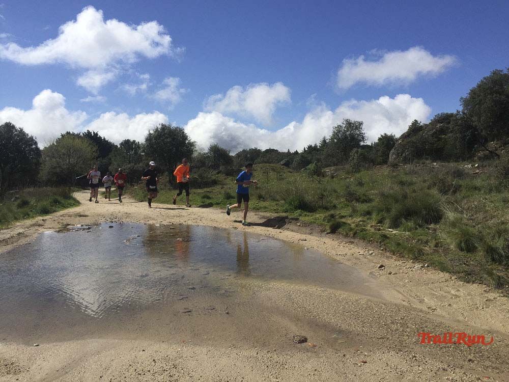 Races Trail Runing Hoyo de Manzanares 2016-11