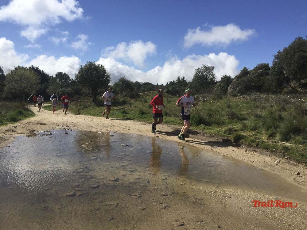 Races Trail Runing Hoyo de Manzanares 2016-11