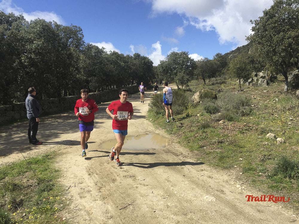 Races Trail Runing Hoyo de Manzanares 2016-11