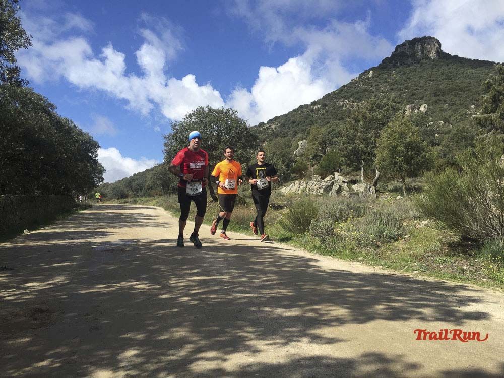 Races Trail Runing Hoyo de Manzanares 2016-11
