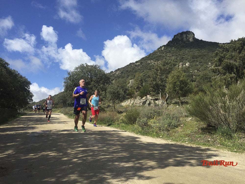 Races Trail Runing Hoyo de Manzanares 2016-11