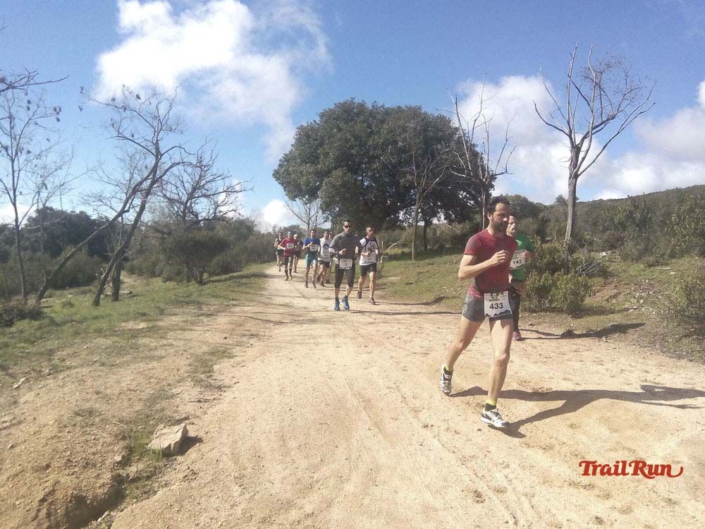 Races Trail Runing Hoyo de Manzanares 2016-12