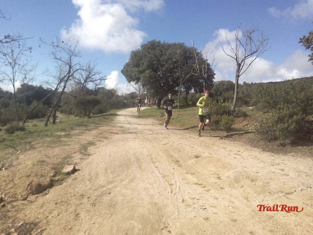 Races Trail Runing Hoyo de Manzanares 2016-12