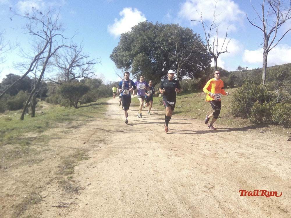 Races Trail Runing Hoyo de Manzanares 2016-12