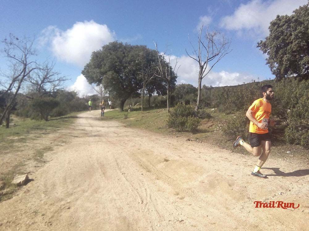 Races Trail Runing Hoyo de Manzanares 2016-12