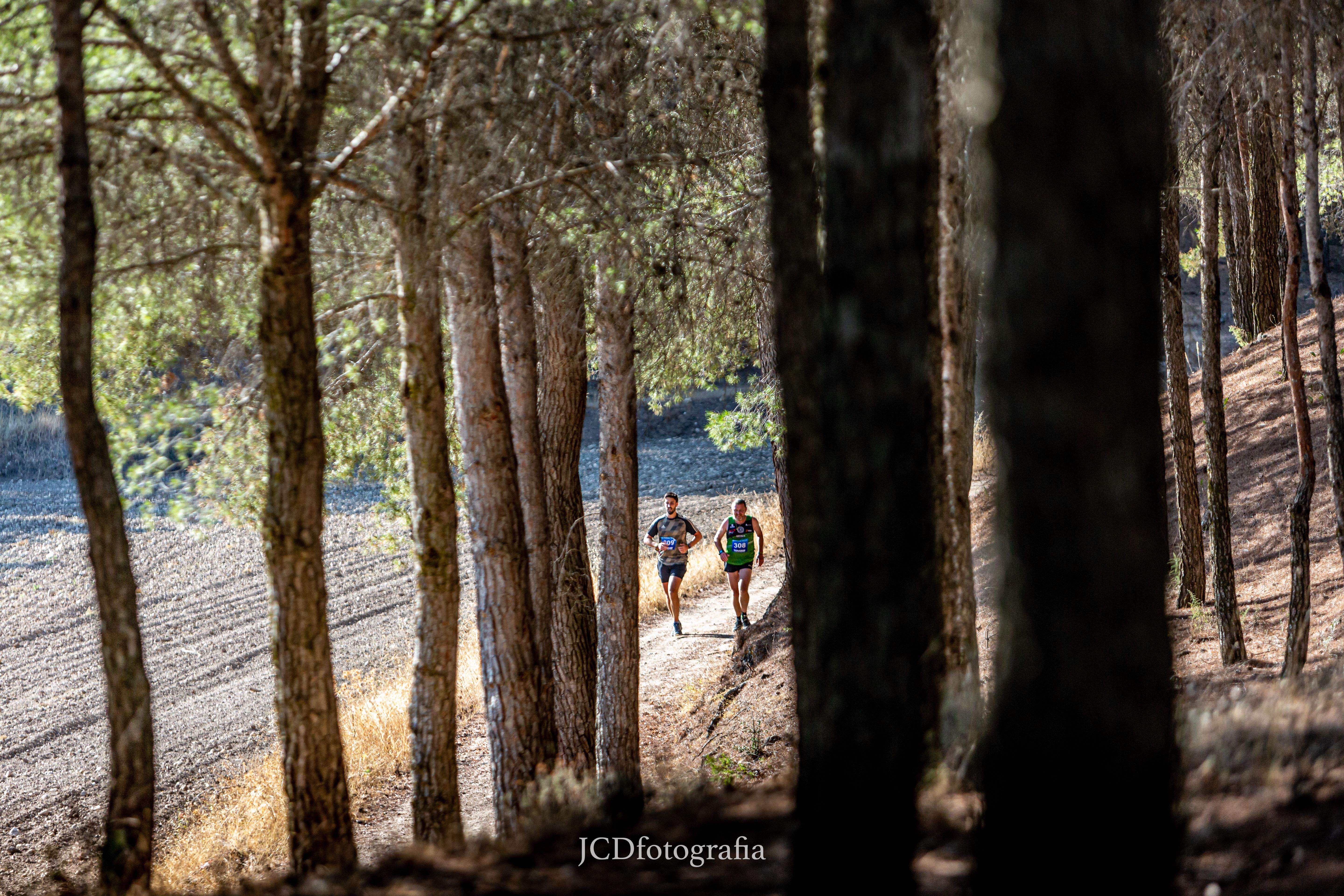 Alameda Trail