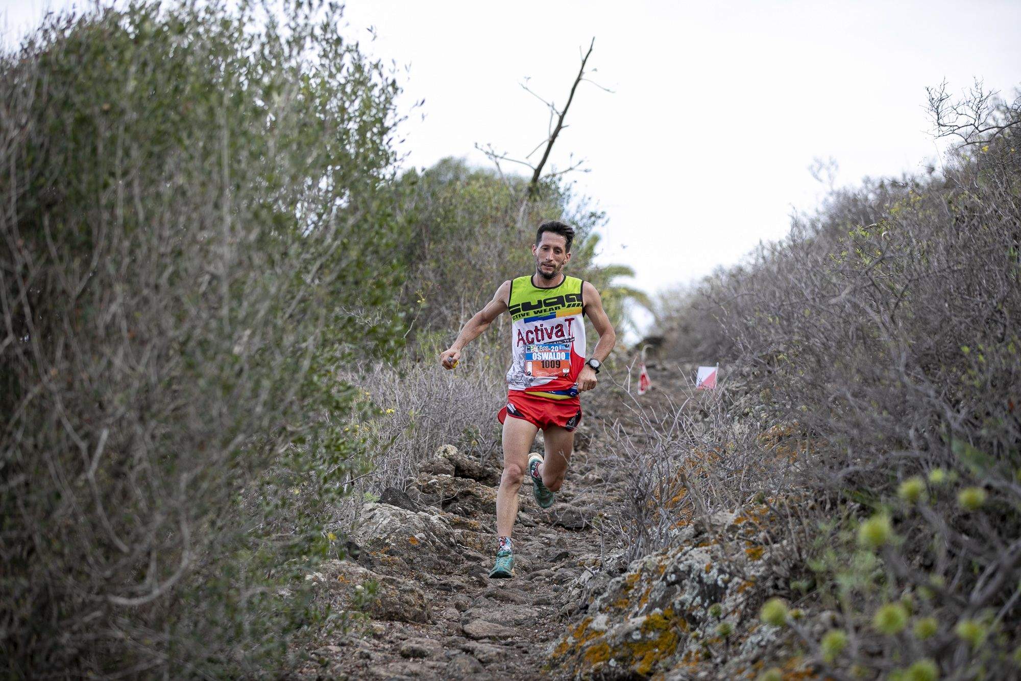 LPA TRAIL 2020