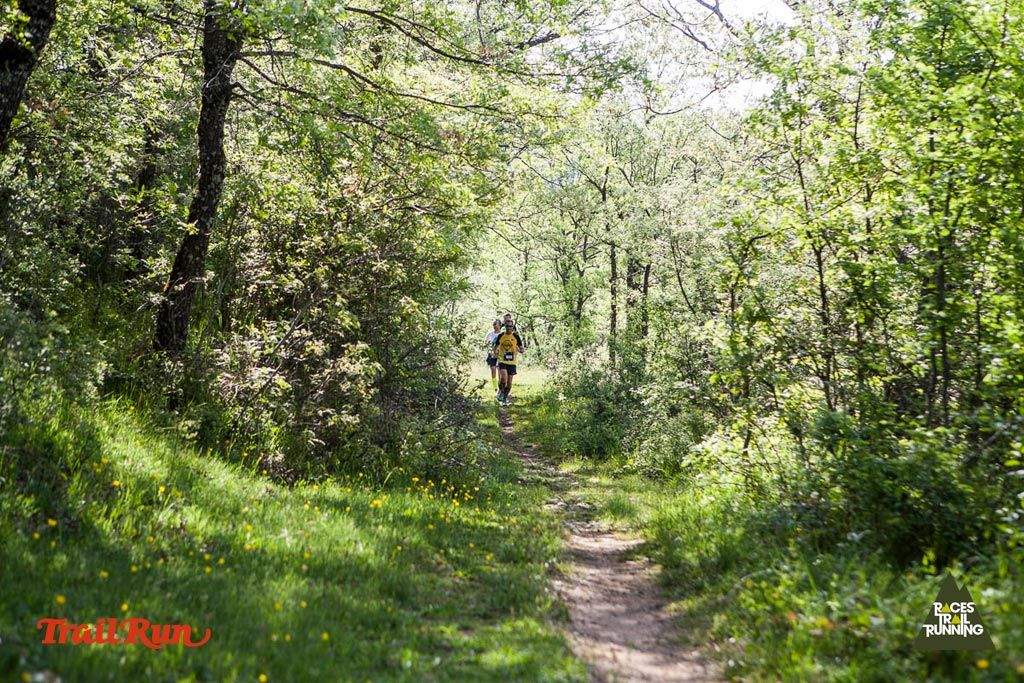 Trail Challenge Riaza-2