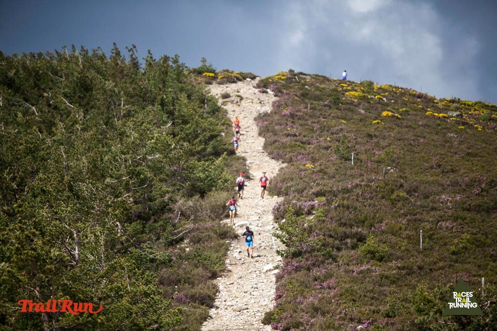 Trail Challenge Riaza-2