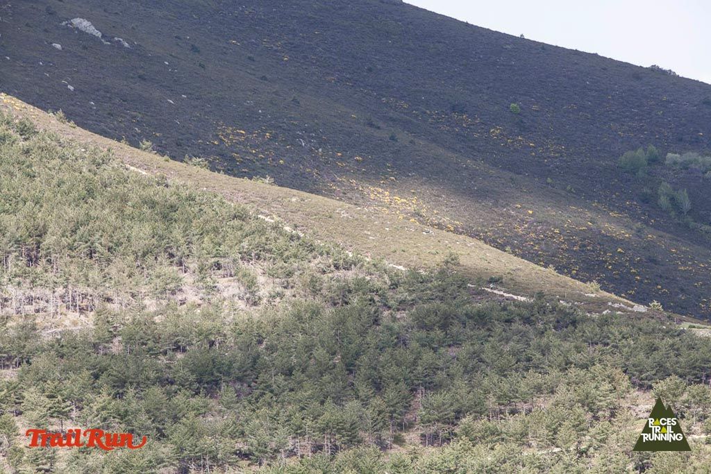 Trail Challenge Riaza-3
