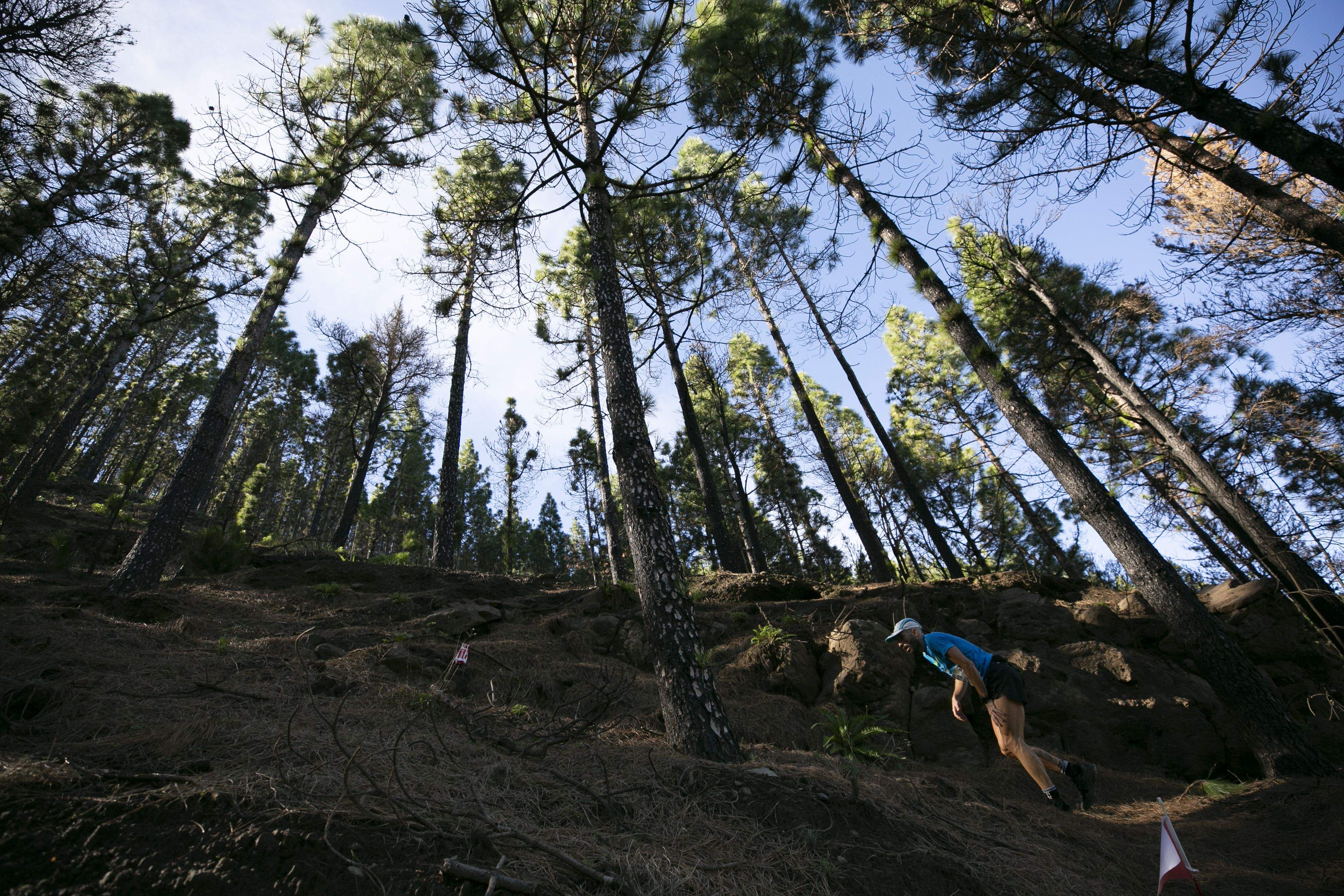 Artenara Trail 2020