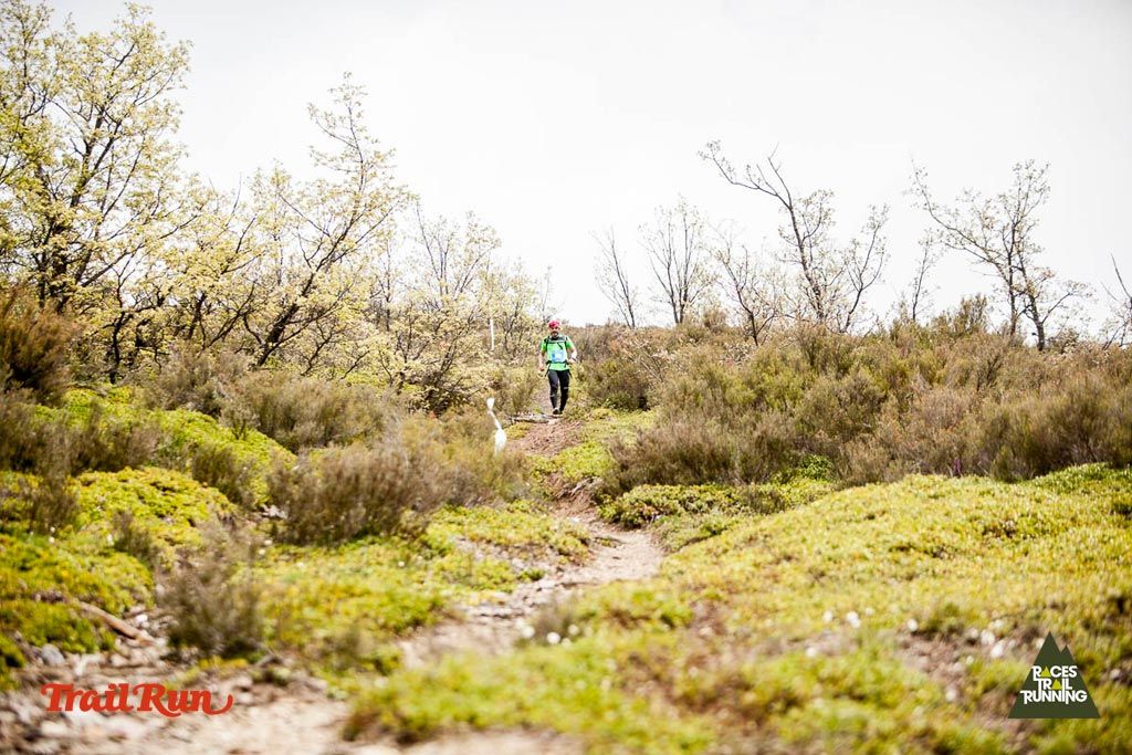 Trail Challenge Riaza-4