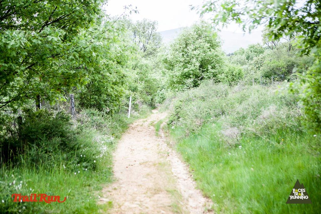 Trail Challenge Riaza-4