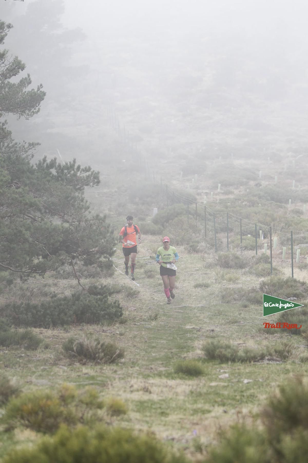 Races Trail Running-3
