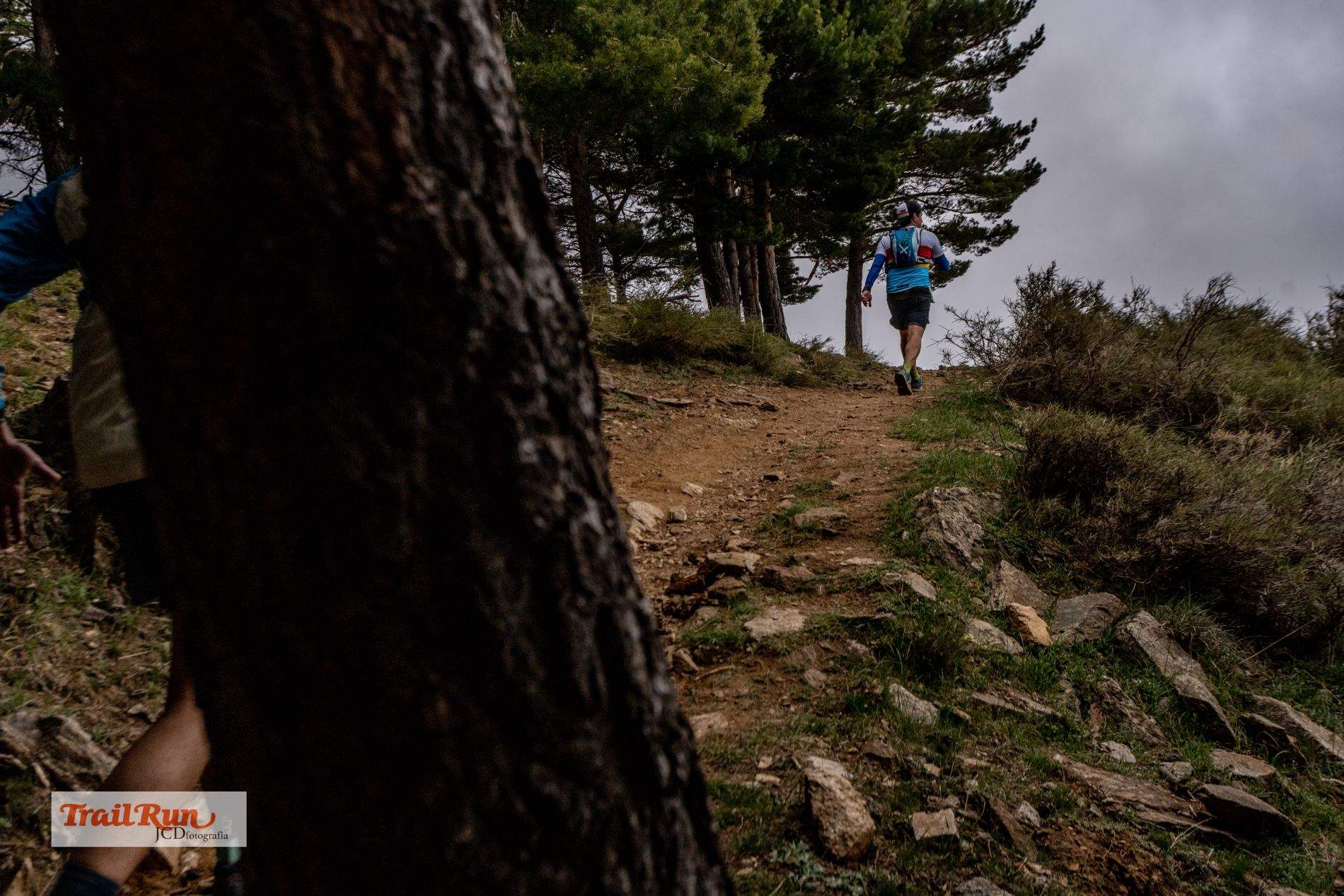 Galería Ultra Sierra Nevada. Foto: JCDFotografía.