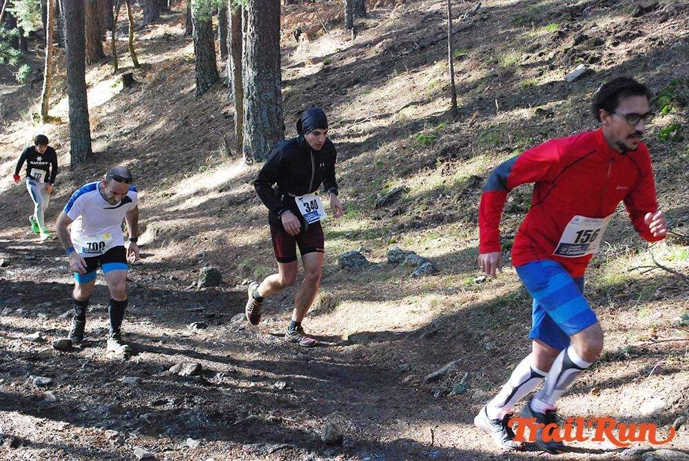 Carrera de Navidad Cercedilla - Fotos km.8 (II)