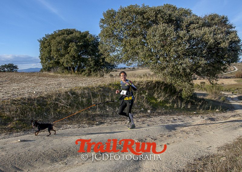 Mushing de Villamanta: canicross y bikejoring popular