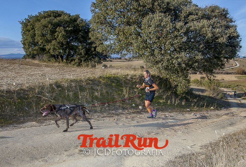 Mushing de Villamanta: canicross y bikejoring popular