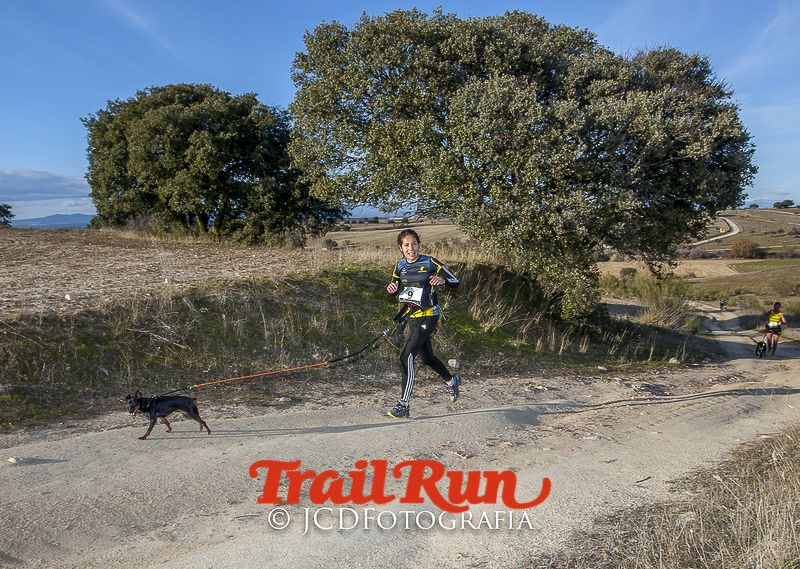 Mushing de Villamanta: canicross y bikejoring popular
