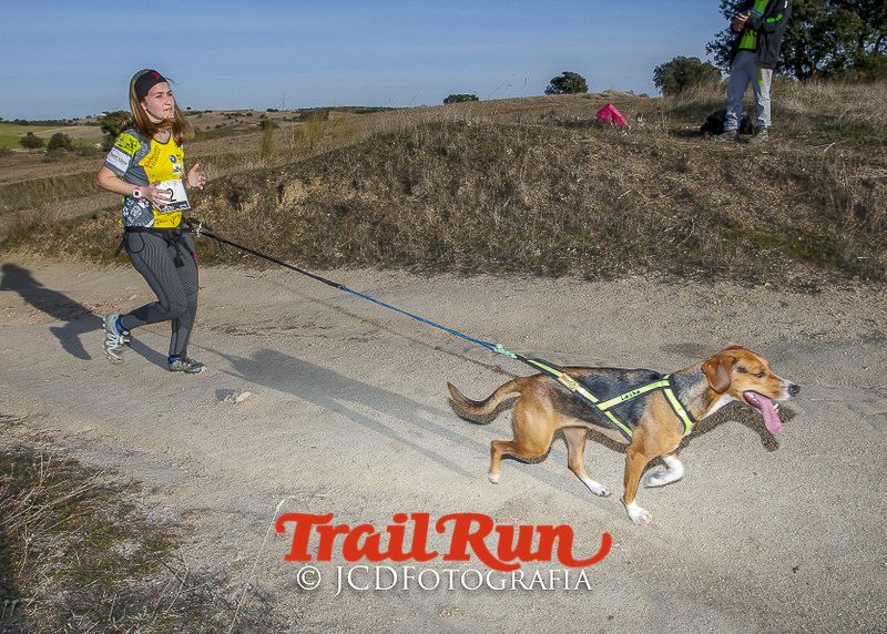 Mushing de Villamanta: canicross y bikejoring popular