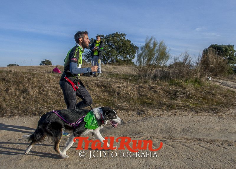 Mushing de Villamanta: canicross y bikejoring popular