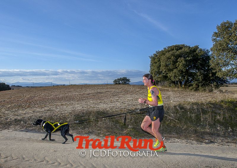 Mushing de Villamanta: canicross y bikejoring popular