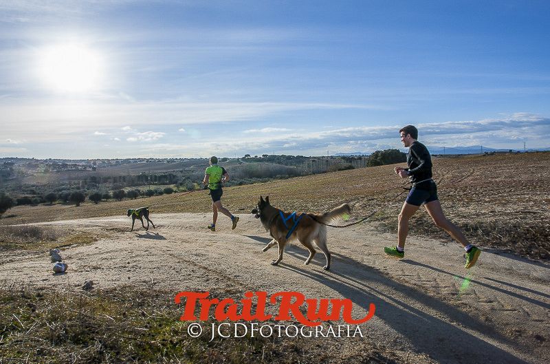 Mushing de Villamanta: canicross y bikejoring popular