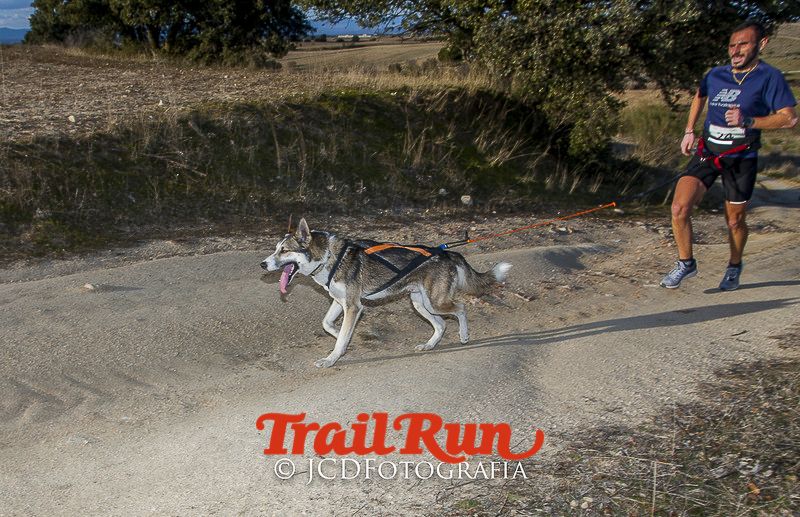 Mushing de Villamanta: canicross y bikejoring popular