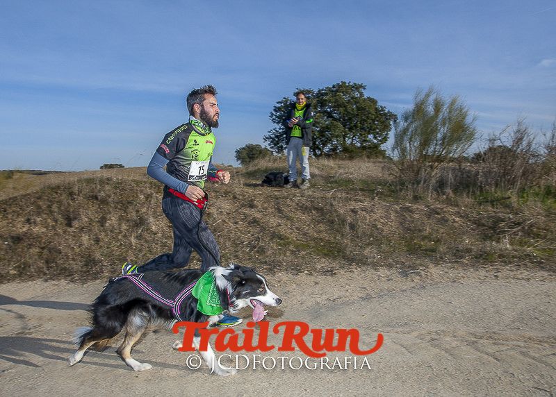 Mushing de Villamanta: canicross y bikejoring popular