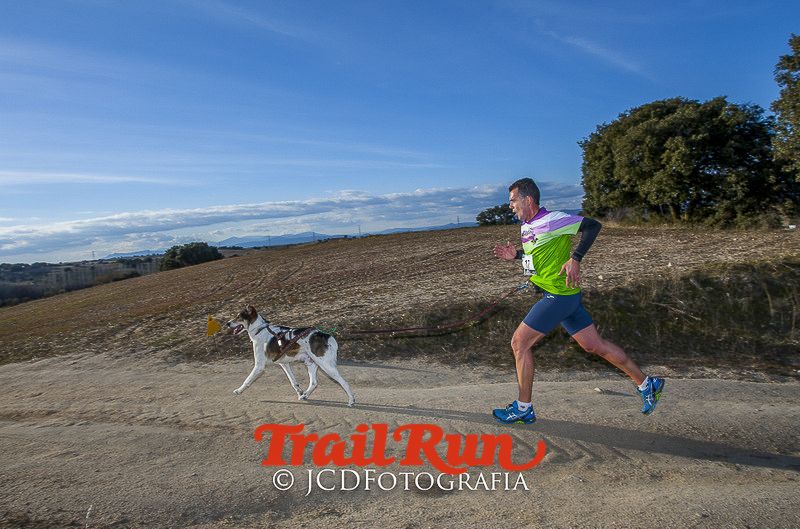 Mushing de Villamanta: canicross y bikejoring popular