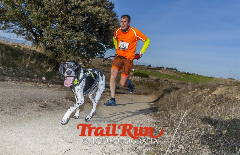 Mushing de Villamanta: canicross y bikejoring popular