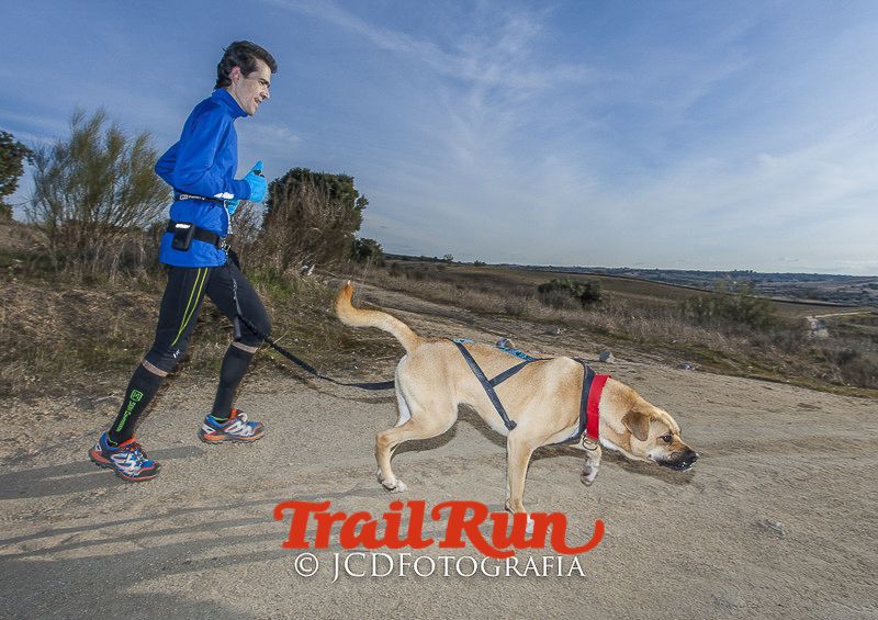 Mushing de Villamanta: canicross y bikejoring popular