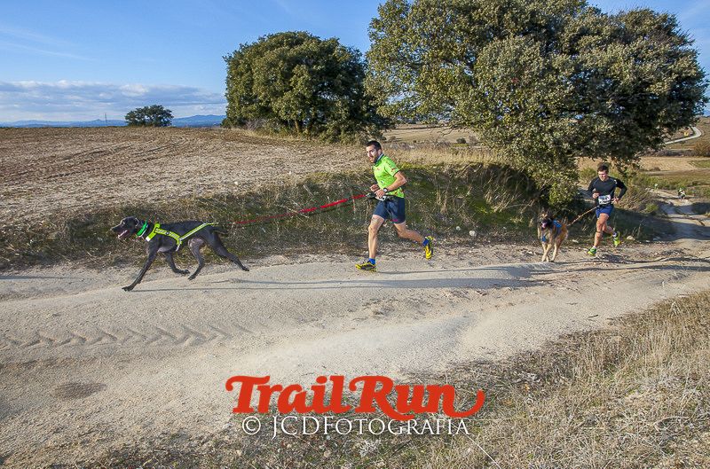 Mushing de Villamanta: canicross y bikejoring popular