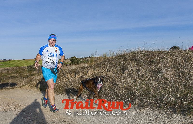 Mushing de Villamanta: canicross y bikejoring popular