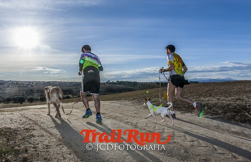 Mushing de Villamanta: canicross y bikejoring popular