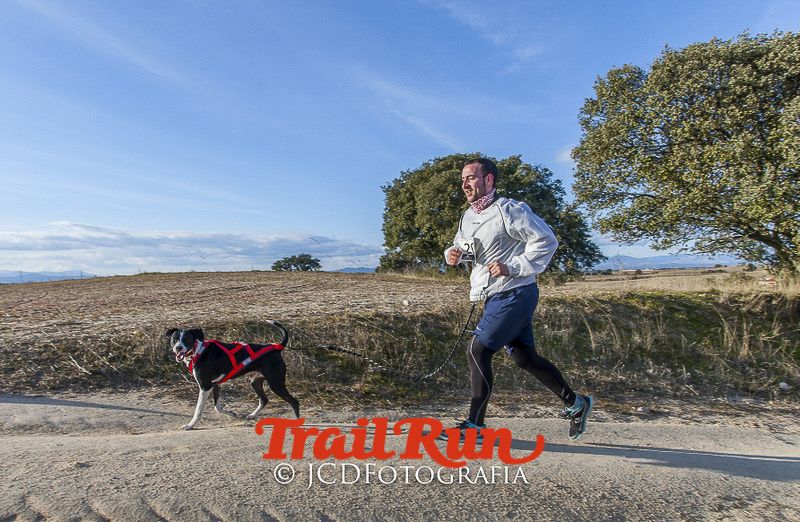 Mushing de Villamanta: canicross y bikejoring popular