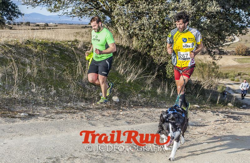 Mushing de Villamanta: canicross y bikejoring popular