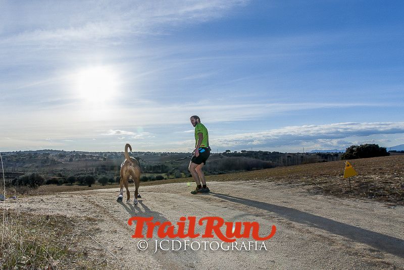 Mushing de Villamanta: canicross y bikejoring popular