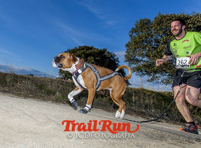 Mushing de Villamanta: canicross y bikejoring popular