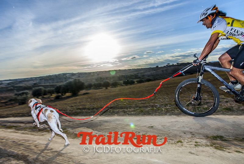 Mushing de Villamanta: canicross y bikejoring popular