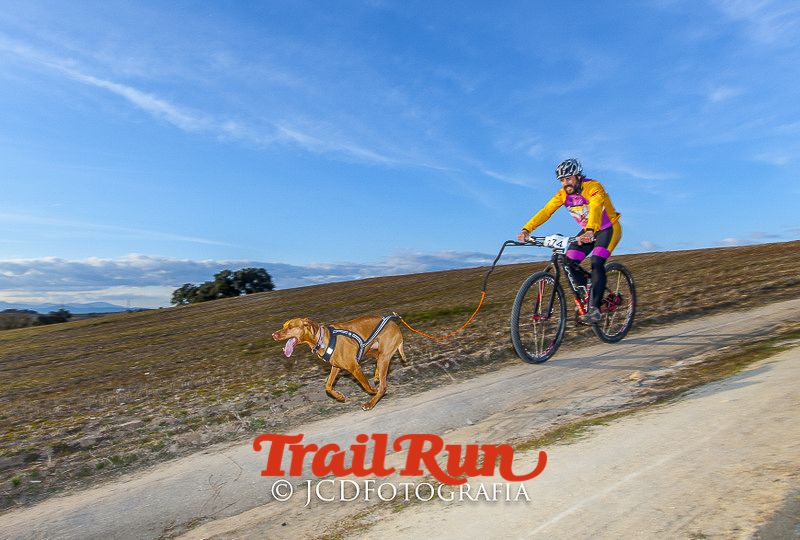 Mushing de Villamanta: canicross y bikejoring popular
