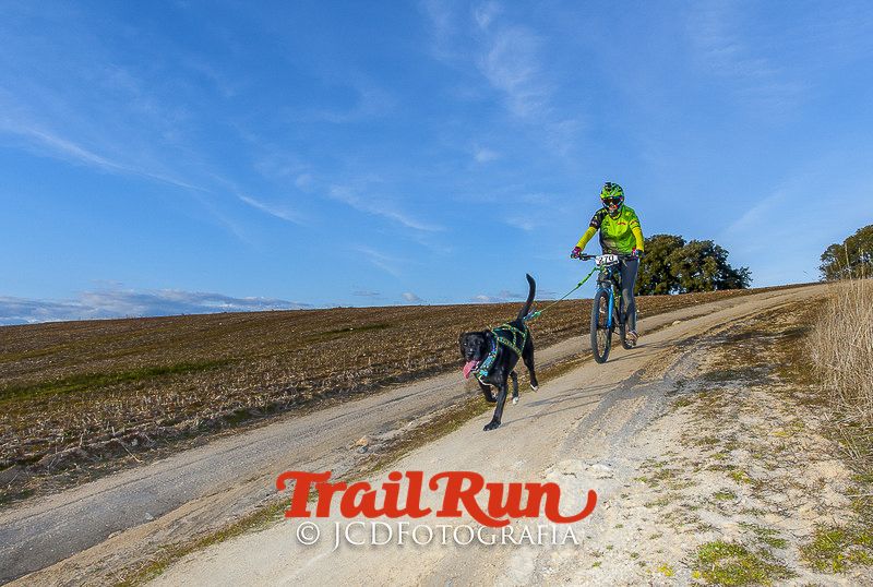 Mushing de Villamanta: canicross y bikejoring popular
