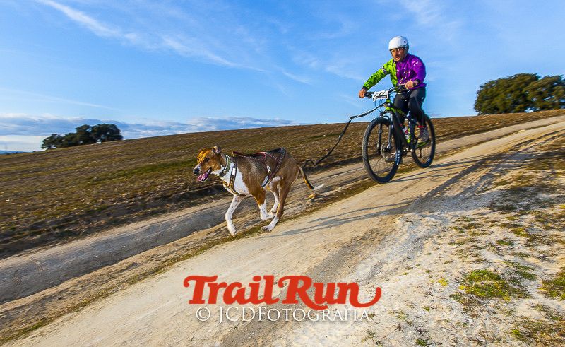 Mushing de Villamanta: canicross y bikejoring popular