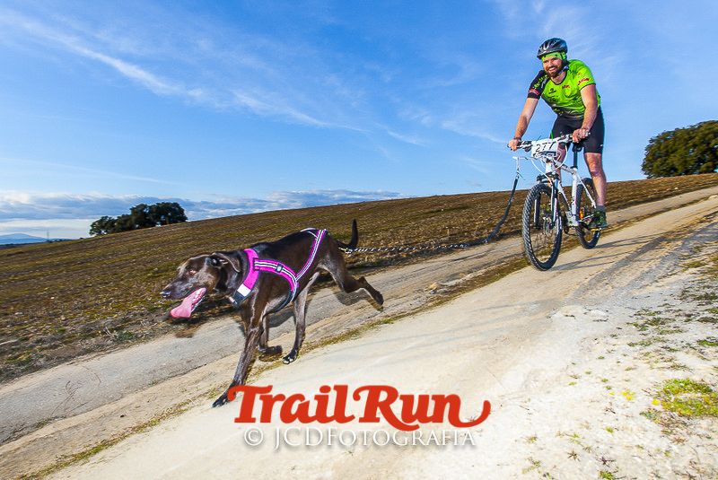 Mushing de Villamanta: canicross y bikejoring popular