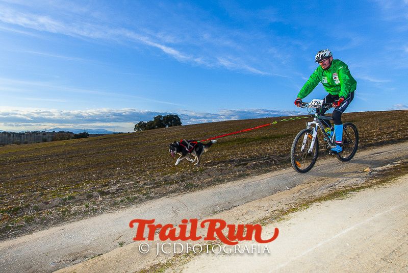 Mushing de Villamanta: canicross y bikejoring popular