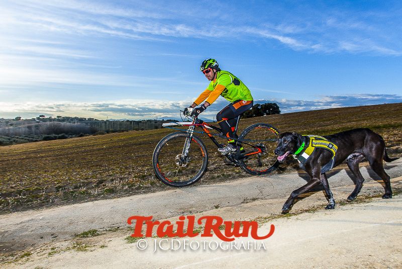 Mushing de Villamanta: canicross y bikejoring popular